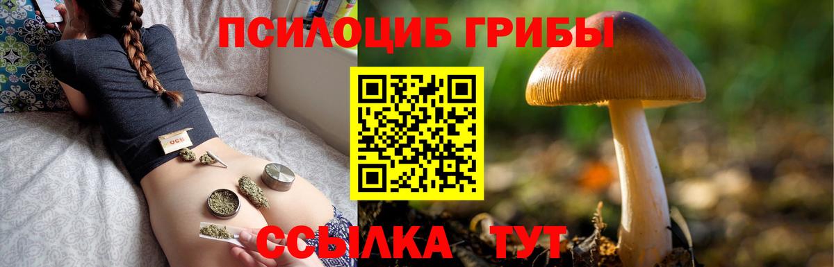 Ейск  Галлюциногенные грибы GOLDEN TEACHER  Вход с VPN 